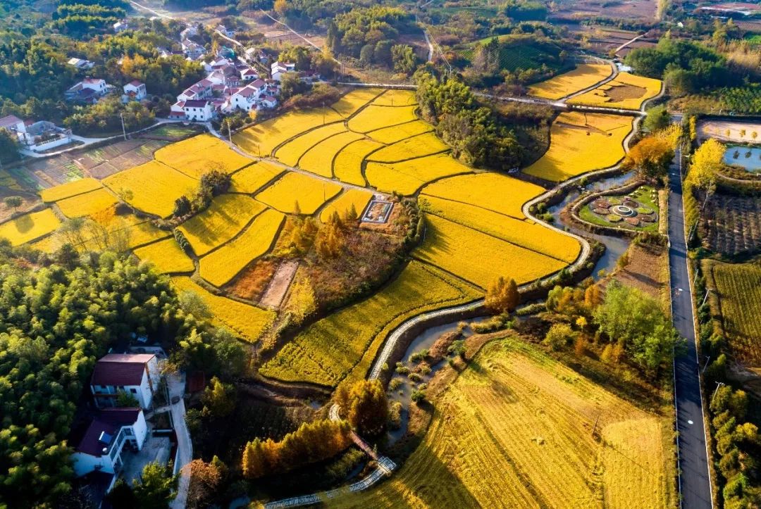 主体核心区建设,悠然南山所在的戴埠镇杨家村作为省级特色田园乡村,将