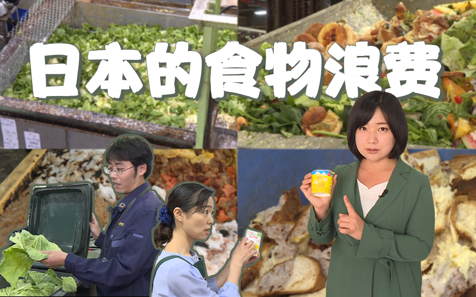 如此珍惜资源的日本，竟是世界上最浪费粮食的国家？