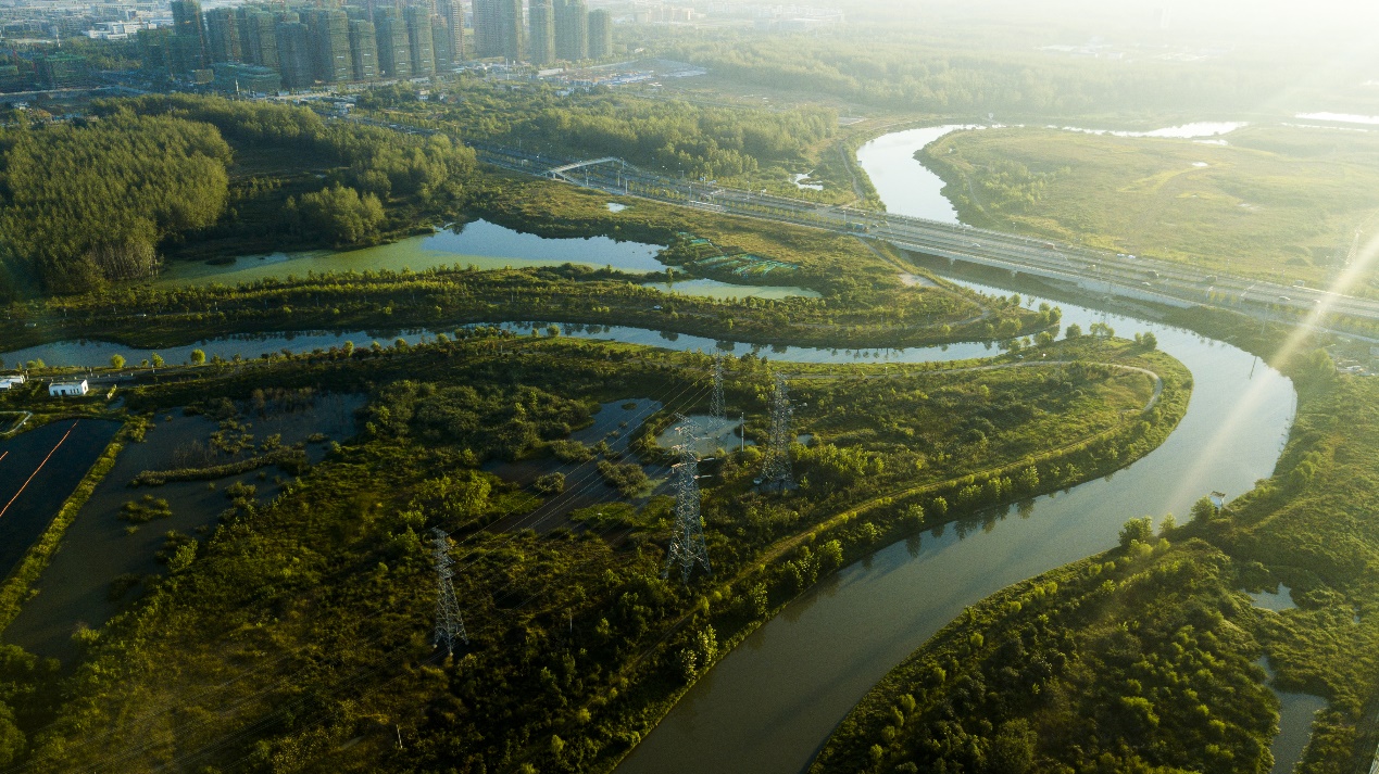 合肥十五里河景观带图片