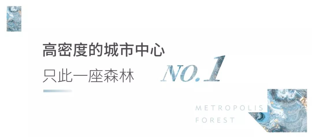 31A683349E1CF61D1C49D7A4EDCED7957D30BCD0_w1080_h475.jpg