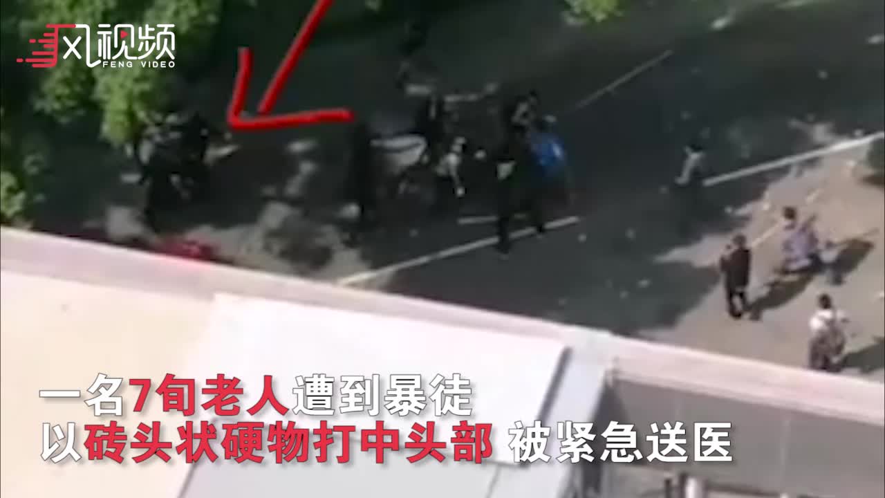 香港老人遭暴徒扔砖重创头部  被诊断脑干死亡！