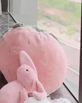 「纯洁的微笑」只因自拍瞳孔倒影暴露住址？ 一张照片就把女idol出卖了