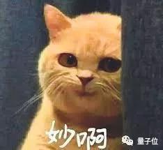 [量子位]“狗屁不通文章生成器”登顶GitHub热榜