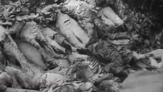 纳粹侵略者留下的恐怖画面 堆积在沟渠中残暴行径！