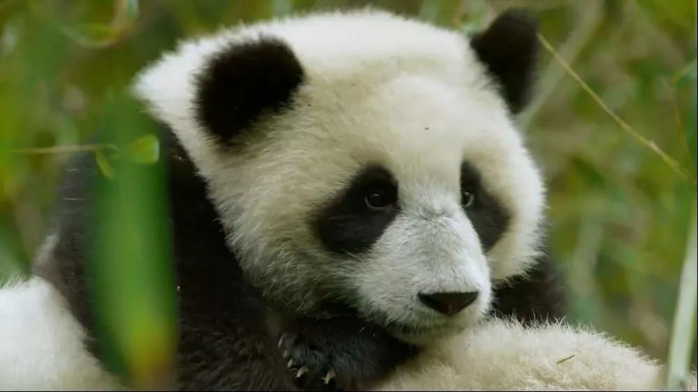 「整点电影」这群「戏精」，9.9不过分