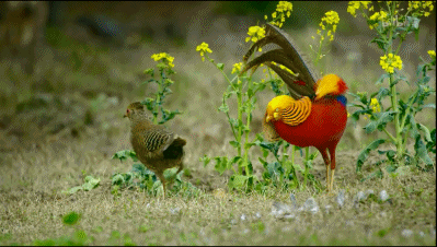 「整点电影」这群「戏精」，9.9不过分