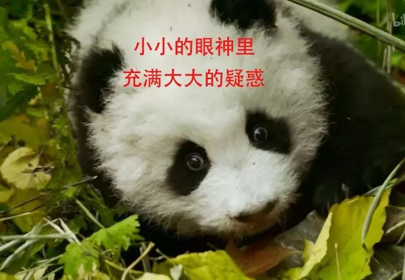 「整点电影」这群「戏精」，9.9不过分