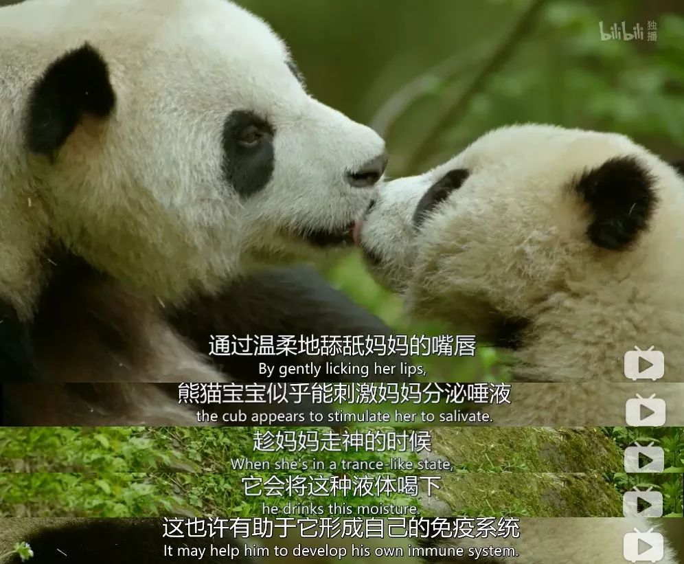 「整点电影」这群「戏精」，9.9不过分