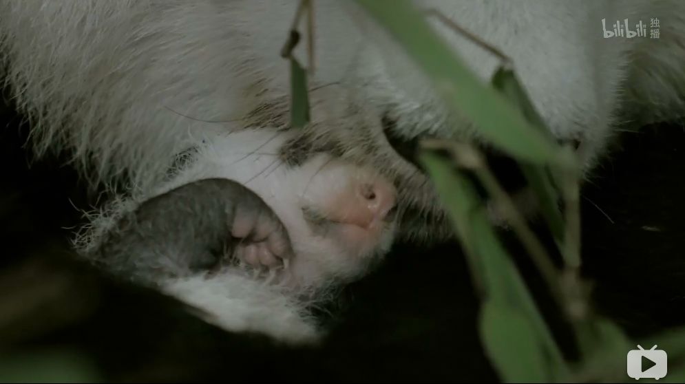 「整点电影」这群「戏精」，9.9不过分