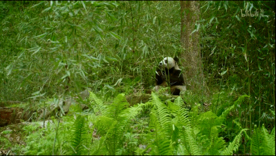 「整点电影」这群「戏精」，9.9不过分