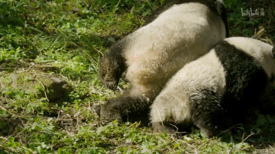 「整点电影」这群「戏精」，9.9不过分