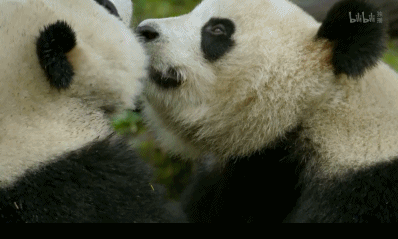 「整点电影」这群「戏精」，9.9不过分