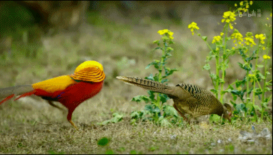 「整点电影」这群「戏精」，9.9不过分