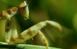 「整点电影」这群「戏精」，9.9不过分