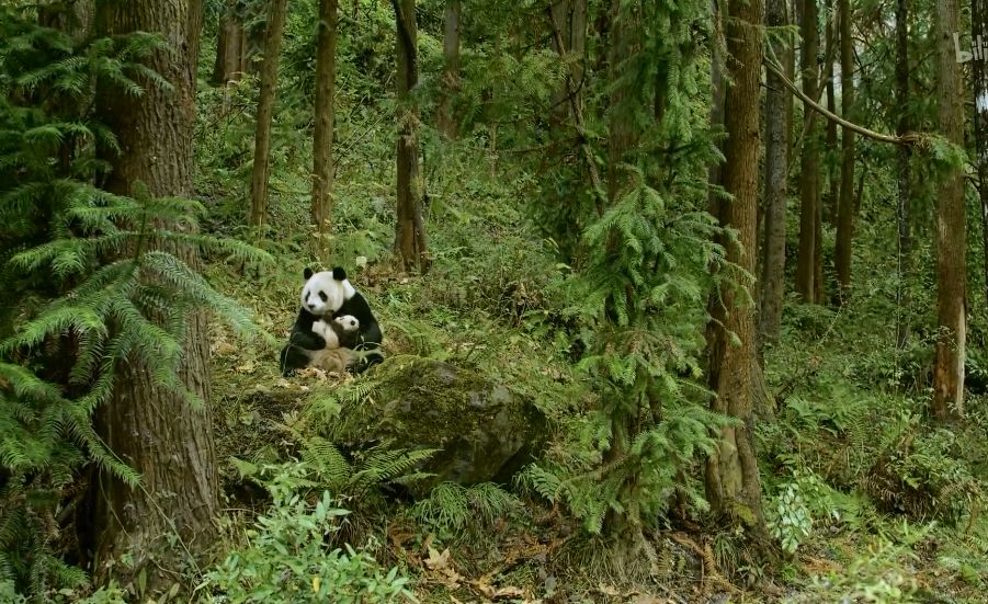 「整点电影」这群「戏精」，9.9不过分