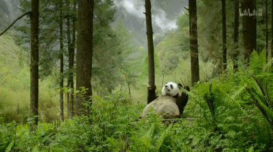 「整点电影」这群「戏精」，9.9不过分