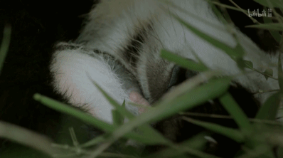 「整点电影」这群「戏精」，9.9不过分