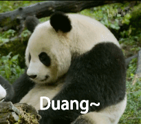 「整点电影」这群「戏精」，9.9不过分