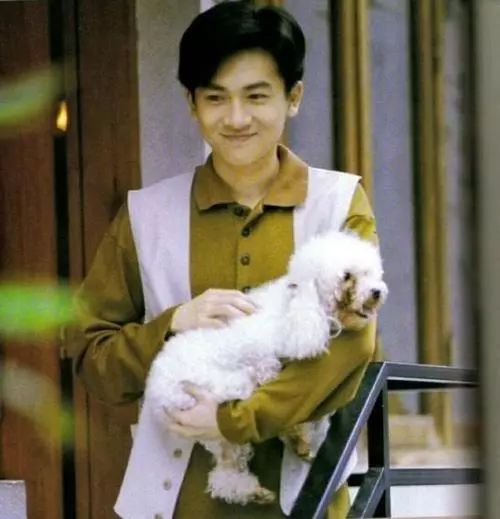 [视觉志]小虎队30年聊天内容：那些中年人的冷漠客套…