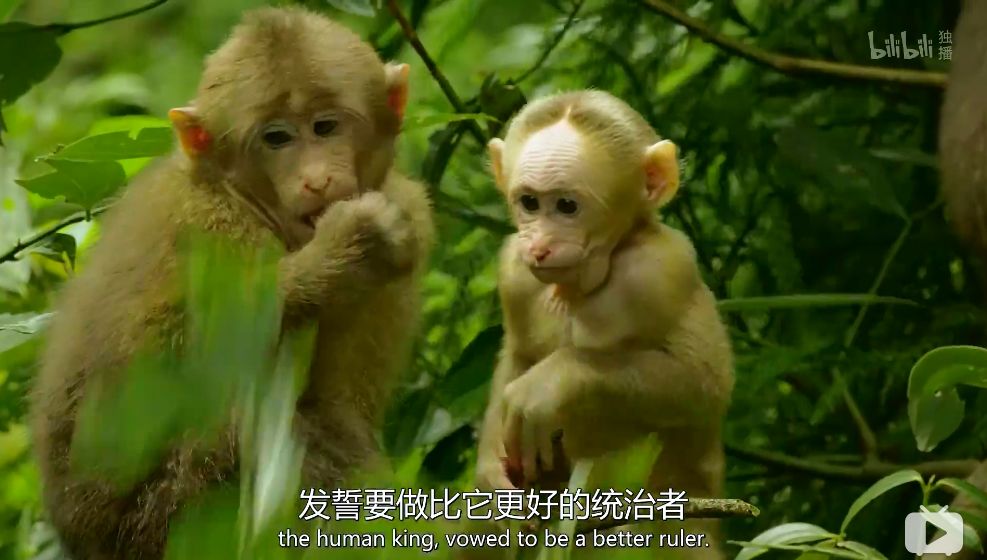 「整点电影」这群「戏精」，9.9不过分