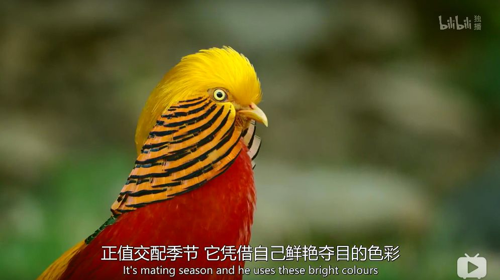 「整点电影」这群「戏精」，9.9不过分