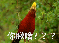 「整点电影」这群「戏精」，9.9不过分