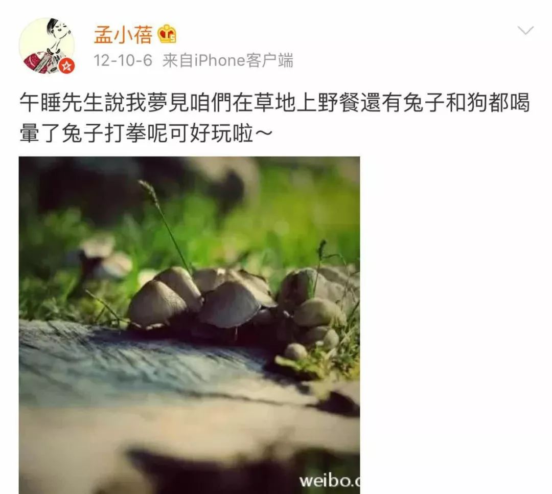 【GirlDaily】她是高晓松的梦中情人，让李健死心塌地35年：李小璐们，学着点吧