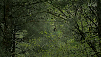 「整点电影」这群「戏精」，9.9不过分