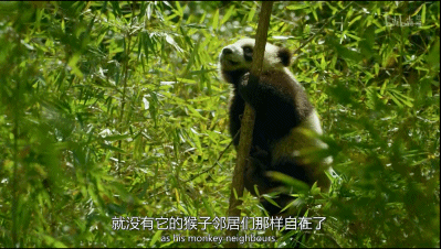 「整点电影」这群「戏精」，9.9不过分