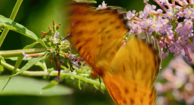 「整点电影」这群「戏精」，9.9不过分