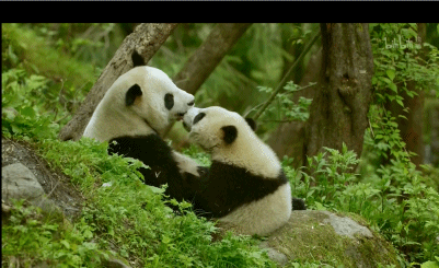 「整点电影」这群「戏精」，9.9不过分