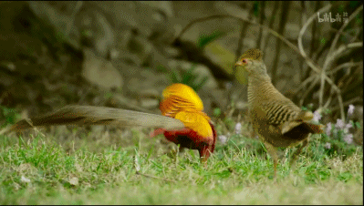 「整点电影」这群「戏精」，9.9不过分