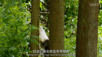 「整点电影」这群「戏精」，9.9不过分