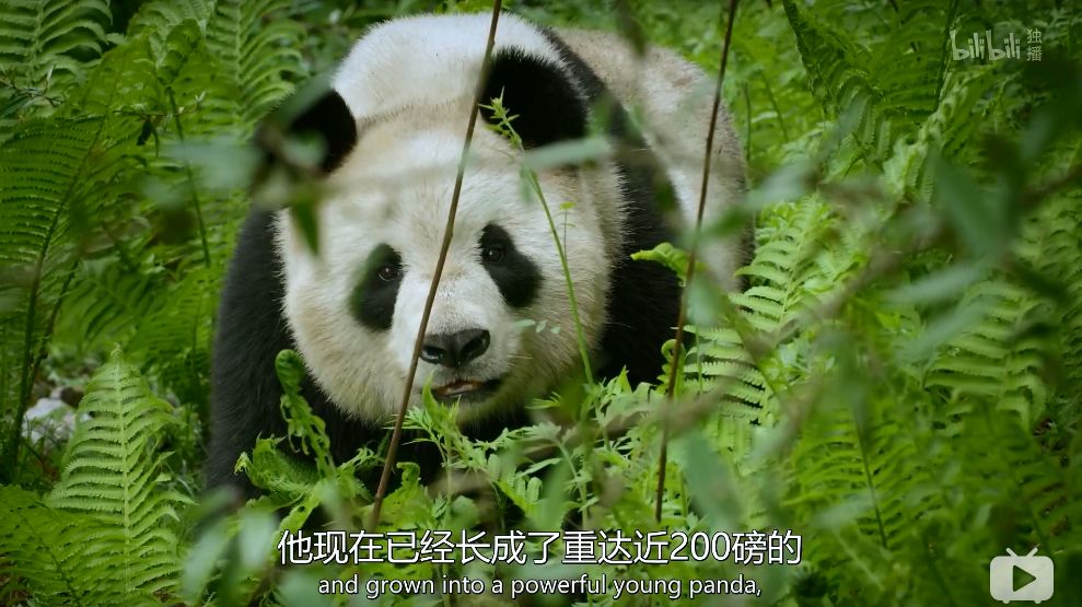 「整点电影」这群「戏精」，9.9不过分