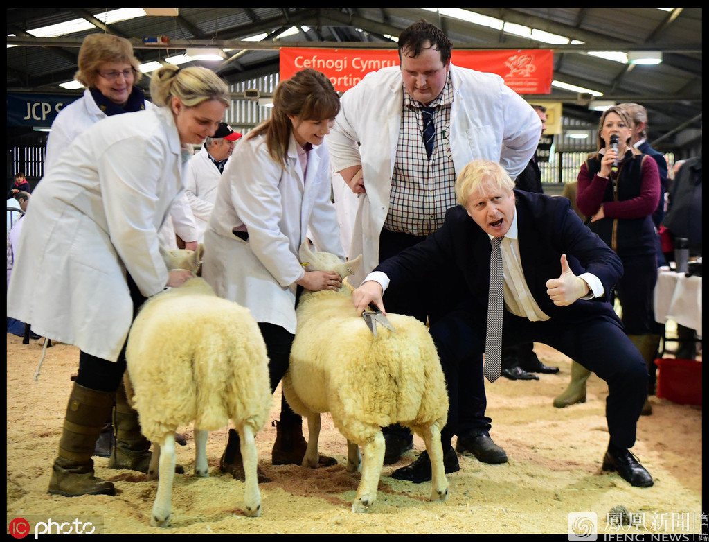 英国首相鲍里斯-约翰逊参观皇家威尔士冬季展,亲自体验了一次剪羊毛