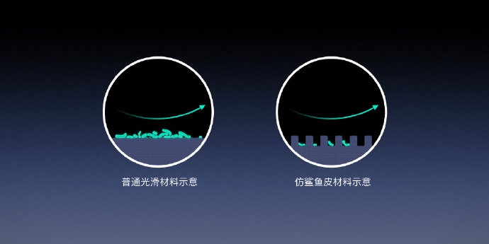 「IT之家」“老人与海”黑科技，罗永浩发布Sharklet鲨纹材料：能够抑菌