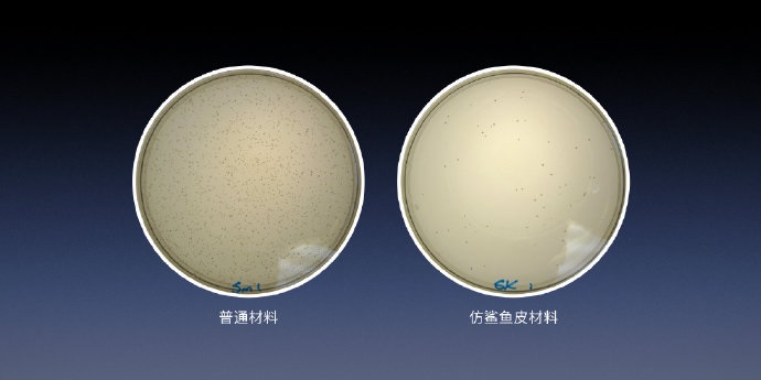 「IT之家」“老人与海”黑科技，罗永浩发布Sharklet鲨纹材料：能够抑菌