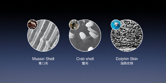 「IT之家」“老人与海”黑科技，罗永浩发布Sharklet鲨纹材料：能够抑菌