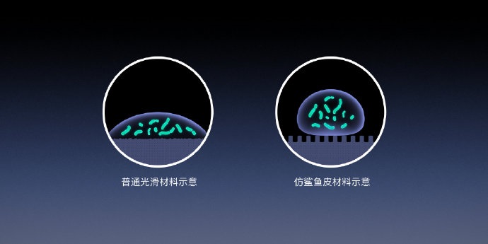 「IT之家」“老人与海”黑科技，罗永浩发布Sharklet鲨纹材料：能够抑菌