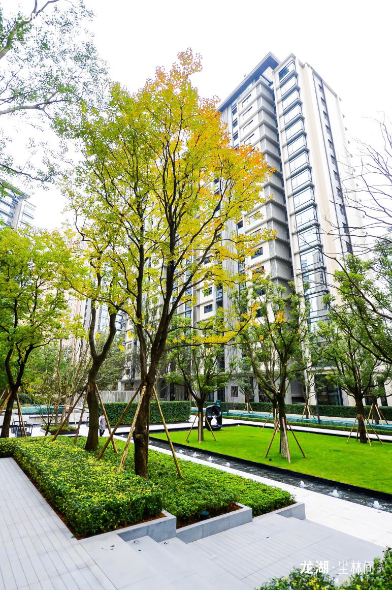 龙湖·尘林间大美交付,悦鉴现房大平层格局