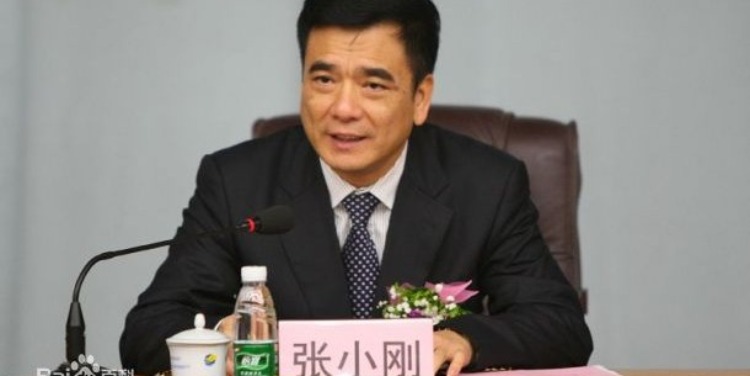广东省国资委党委原副书记张小刚被查 已退休9个月_凤凰网