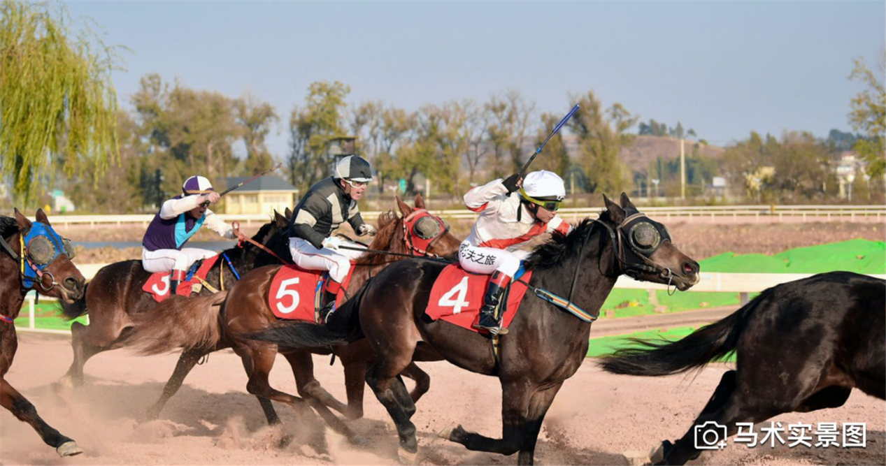 昆明恒大养生谷三天两晚昆明游火热招募中