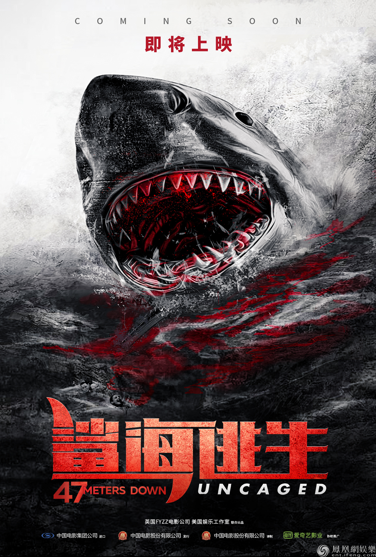 《鲨海逃生》曝中文先导预告 47米深潜惊魂危机即将上演