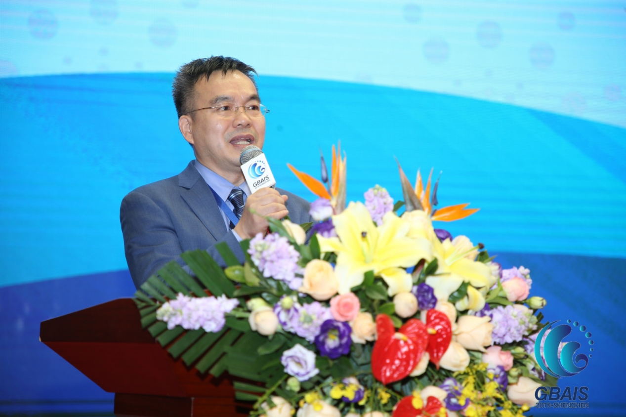(图:北京大学深圳芯片重点实验室主任何进教授致辞)
