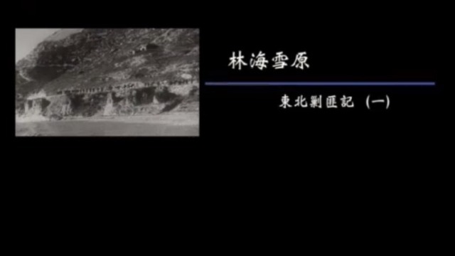 纪录大时代|林海雪原 东北剿匪记1(完整版)