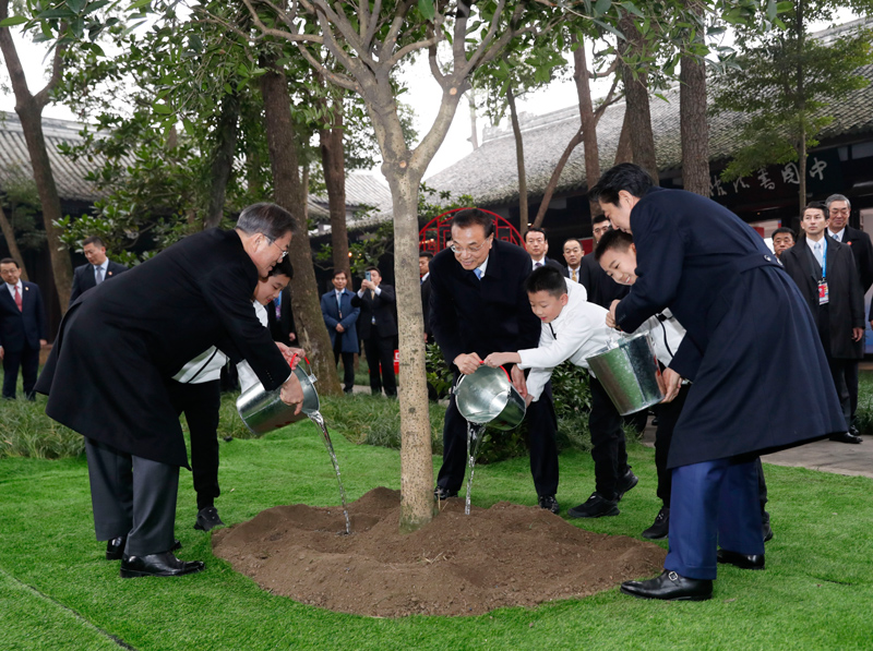 中日韩三国领导人一起去杜甫草堂种了一棵桂花树(组图)