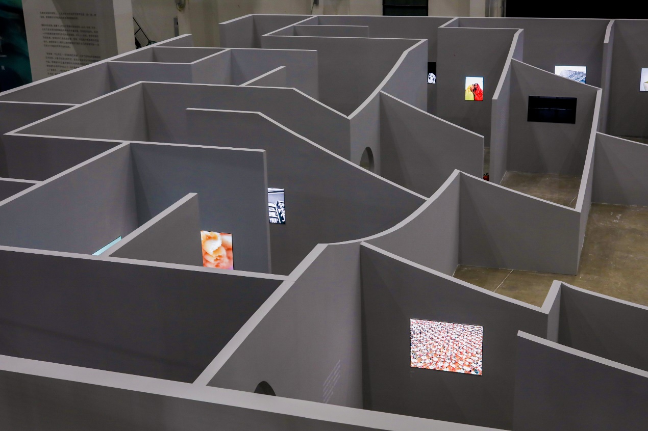 烟火气、艺术展与水岸生活:一场市集折射静安苏河片区更新脉络