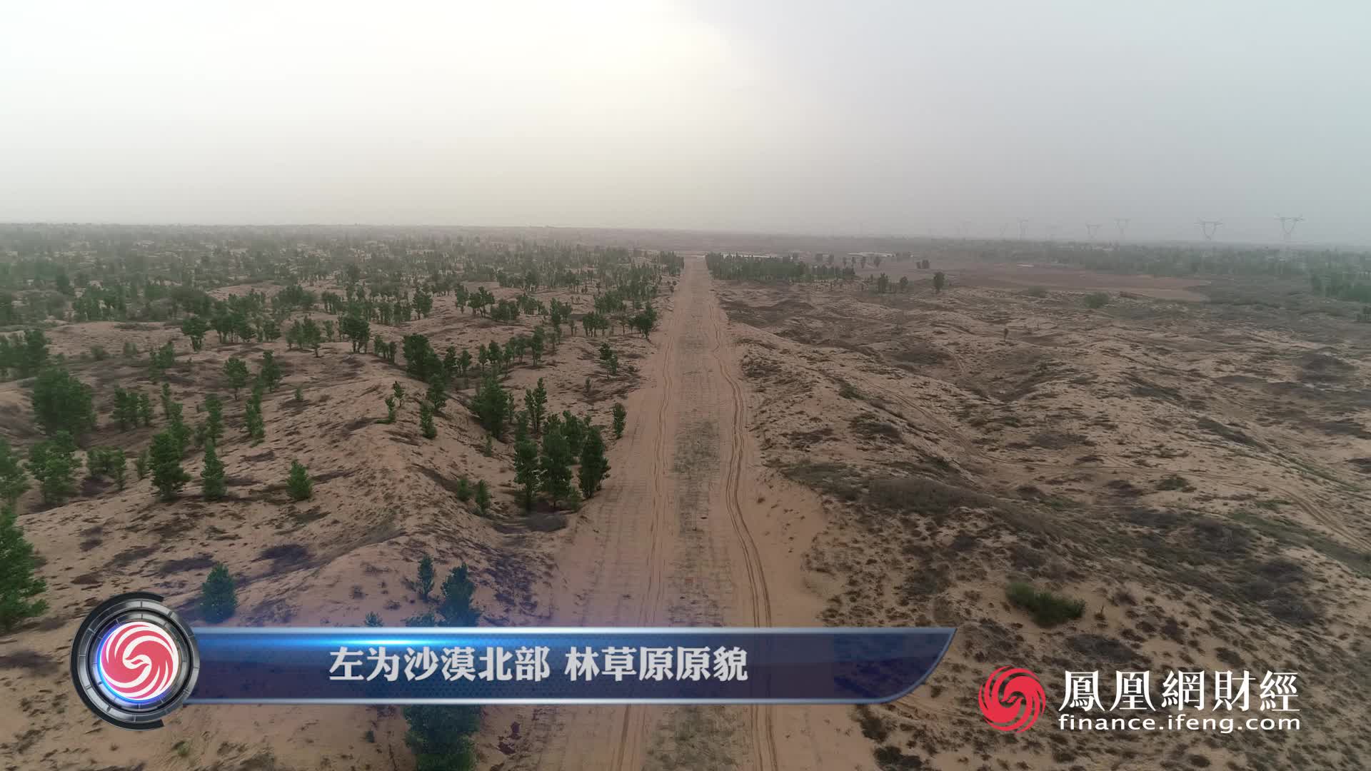 航拍丨华能光伏项目致沙漠10万棵树被砍 揭秘毁林全过程