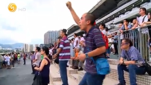 “马照跑”成香港招牌 走进这座“魔幻之都”感受赛马文化