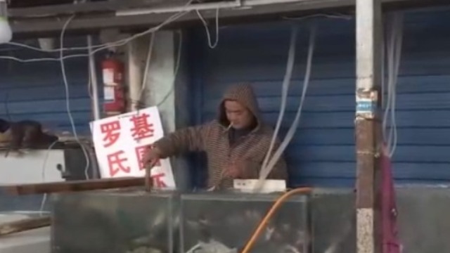 最新!涉病毒性肺炎疫情 武汉一海鲜市场休市整